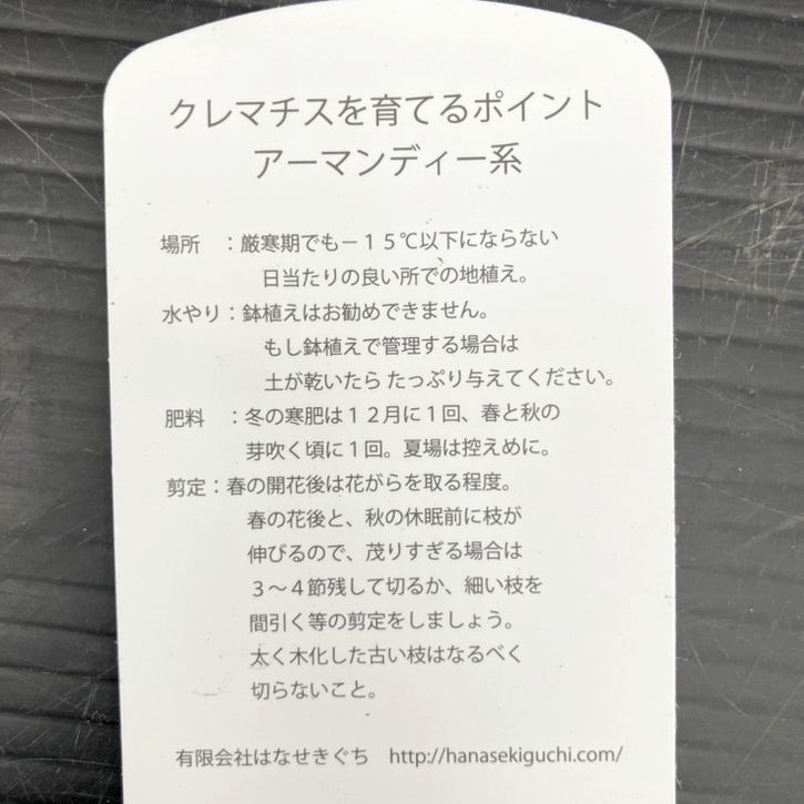 クレマチス アーマンディ系 アップルブロッサム 5号｜草花10-TU | 草花