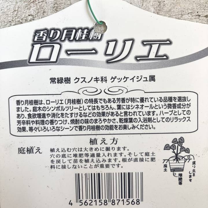 確認用・新鮮ローリエ430枚数 複数束 ビニール ロス袋 450mm×650mm | 佐藤ケミカル