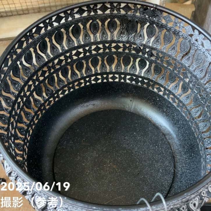 【現品お届け】赤塚オリジナルインテリアグリーン ポトス グリーンスクラッチ(OK17)|手作04-PA