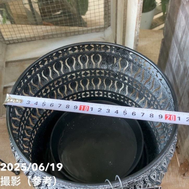 【現品お届け】赤塚オリジナルインテリアグリーン ポトス グリーンスクラッチ(OK17)|手作04-PA