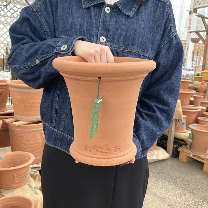 テラコッタ鉢 ウィッチフォード Amaryllis 791（代引き不可）｜資材10