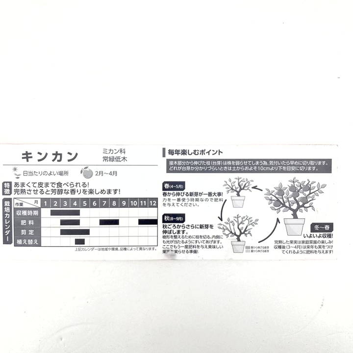 果樹全書 カンキツ たき火フライパンの釘 10本入