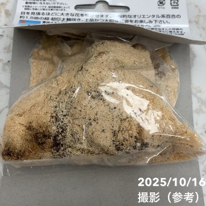 スーパージャイアントカサブランカ 1球入り×2袋セット|球根04-PA