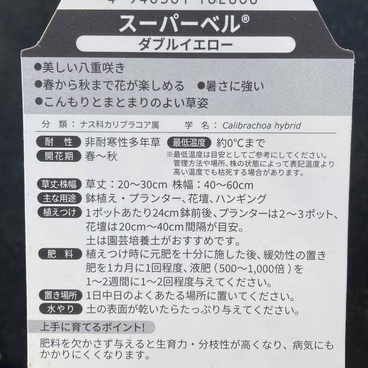 PW スーパーベル ダブルイエロー 3.5号×3株セット｜草花04-PA | 草花