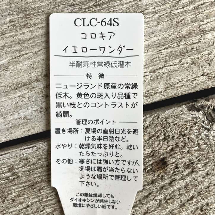 コロキア イエローワンダー 5号|花木04-PA