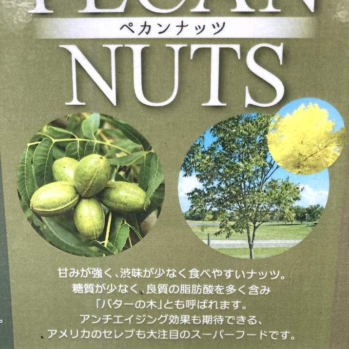 ペカンナッツ 4号｜果樹04-PA | 果樹,ナッツ類 | 赤塚植物園オンライン