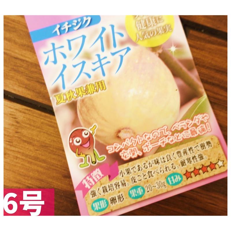 Handmade 実桜里-MIORI-【ご注文・お問い合わせ窓口】3｜ハンドメイド 