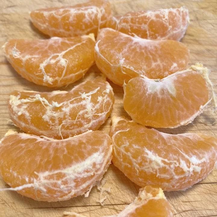 ポンカン 5号ロングポット 2年生苗｜柑橘｜果樹04-PA | 果樹,柑橘