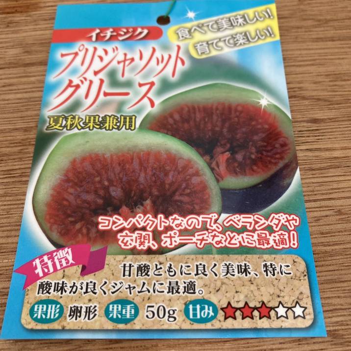 決算！ポイント5倍！7/31まで】充実株 イシヅキ農園さん