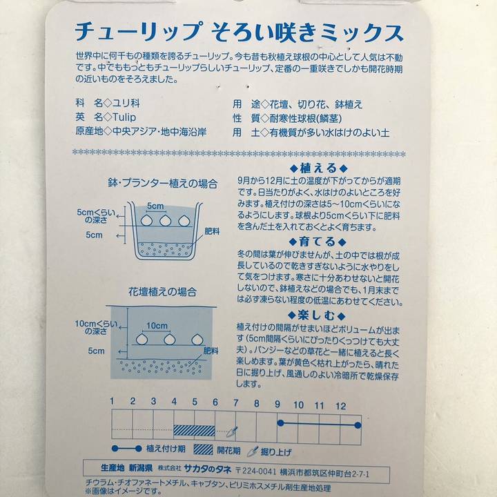 チューリップ球根 そろい咲きミックス 20球×3袋セット｜球根08-TU