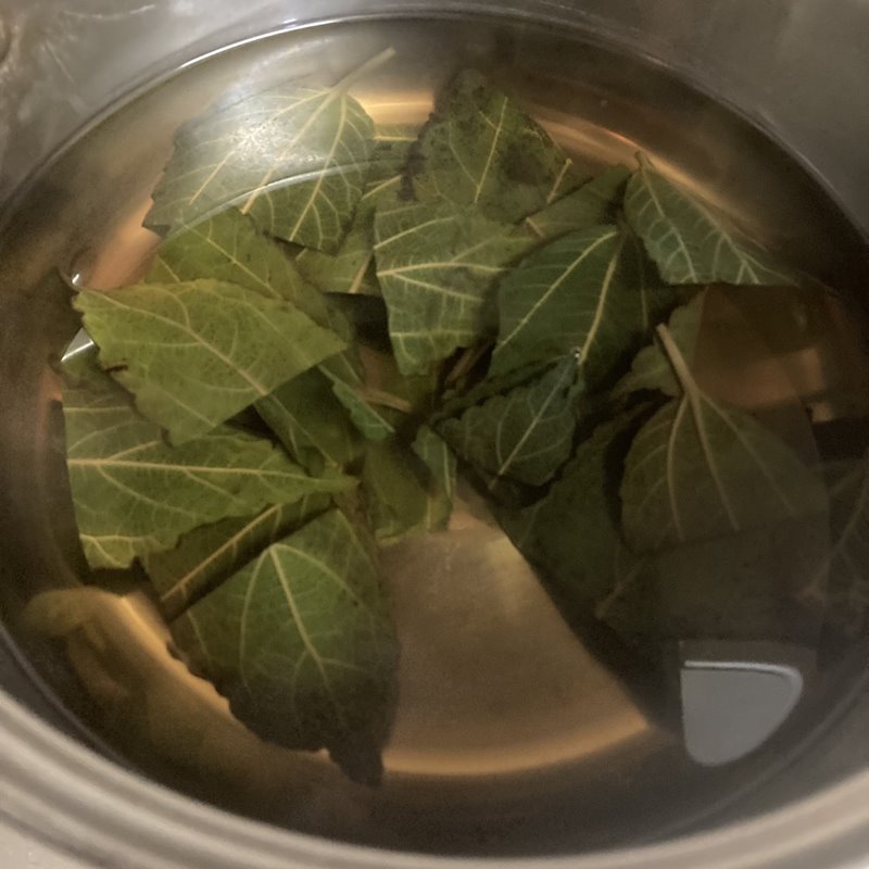 姫雷帝　Wild Heaven 黒土3.5寸　鉢ごと発送 ハワイ固有のミラクルハーブ ママキ 5号スリット鉢｜花木10-TU | 草花