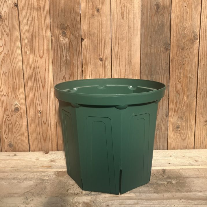 発根済　鉢入り 植木鉢 根っこつよし【スリット プラ鉢】｜ 【植物のITANSE