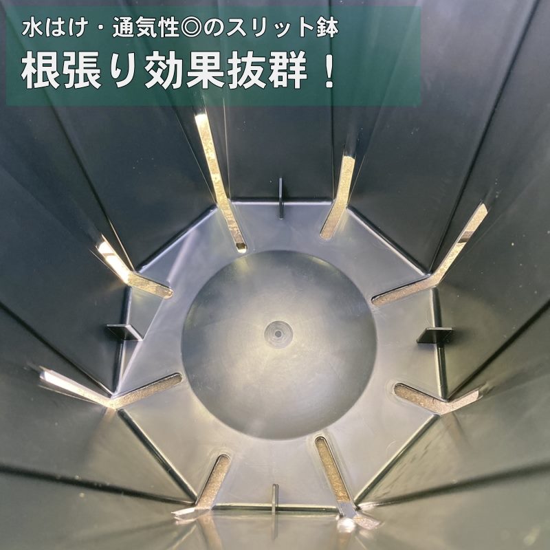 スリット鉢ロングポット