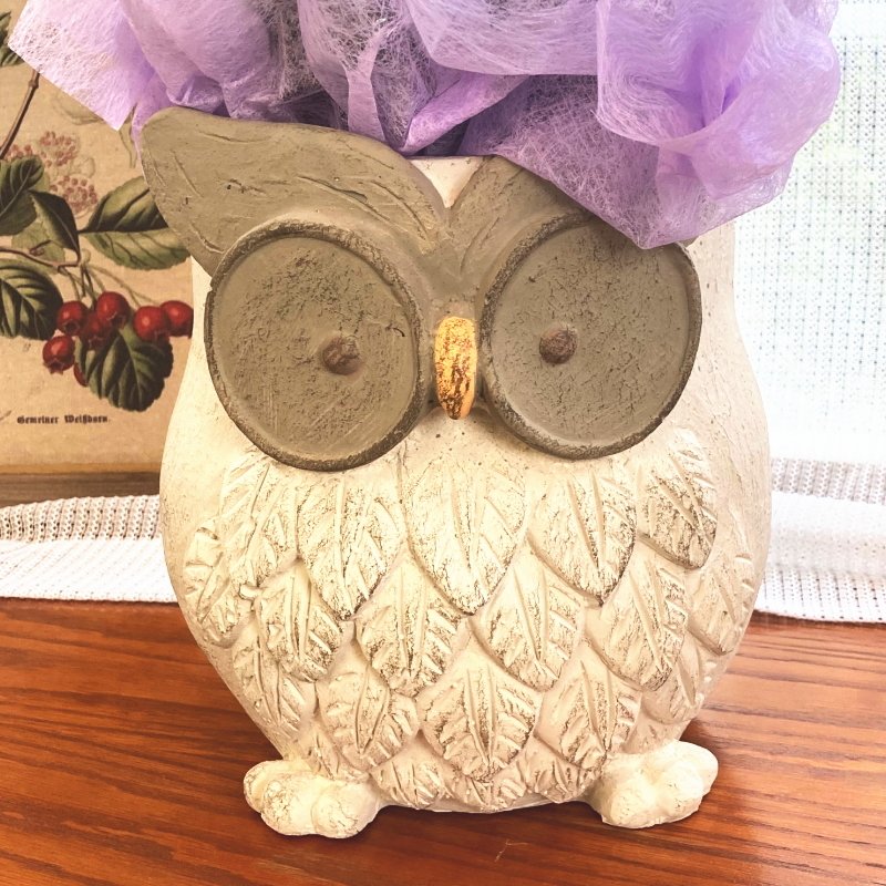 フラワーギフト 陶器鉢 ミミズク 白 Pa すべての商品 赤塚植物園オンライン 花の音