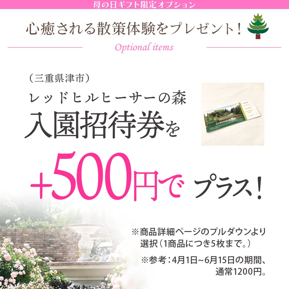 【早割期間中!】母の日ギフト2026 アジサイ 衣純千織イズミチオリ(ブルー)5号|鉢花10-TU