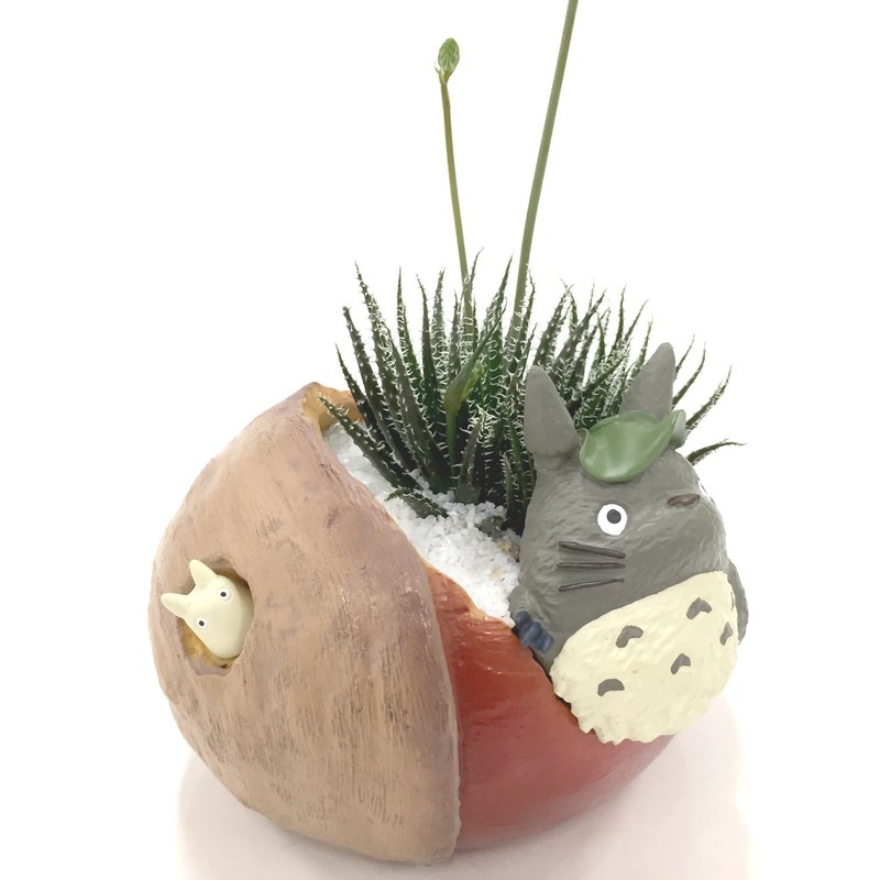 Sold 冬のトトロのお庭 Www Leedervillefoodsafari Com Au Sold 冬のトトロのお庭 Www Leedervillefoodsafari Com Au