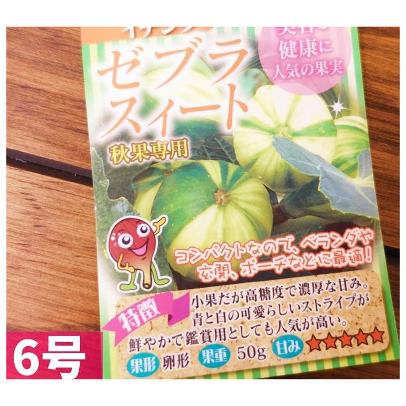 イチジク ゼブラスィート 6号 ※実無し｜果樹10-TU | 果樹,イチジク