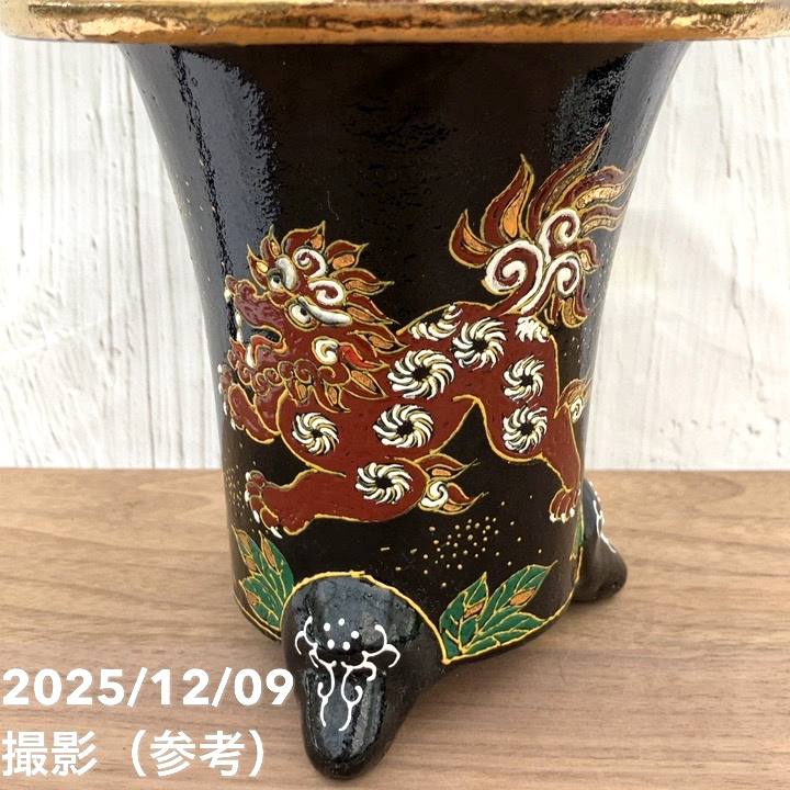 現品お届け】豊明園 万年青 オモト 福の光（ふくのひかり） 獅子黒鉢