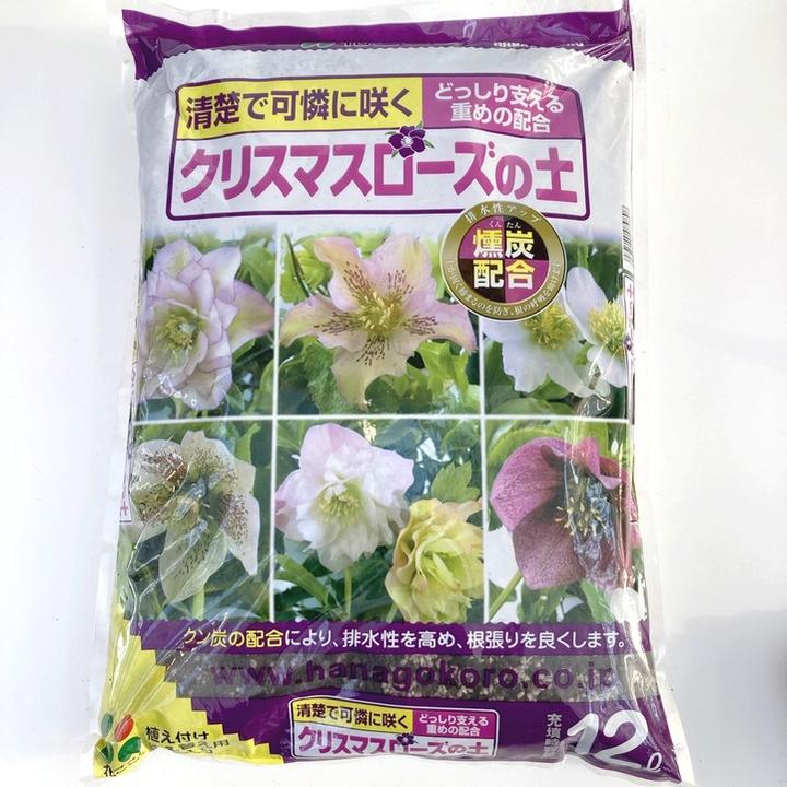 決算P5倍！10%OFF！8/2まで】清楚で可憐に咲く！クリスマスローズの土