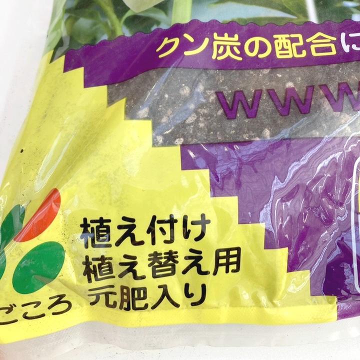決算P5倍！10%OFF！8/2まで】清楚で可憐に咲く！クリスマスローズの土