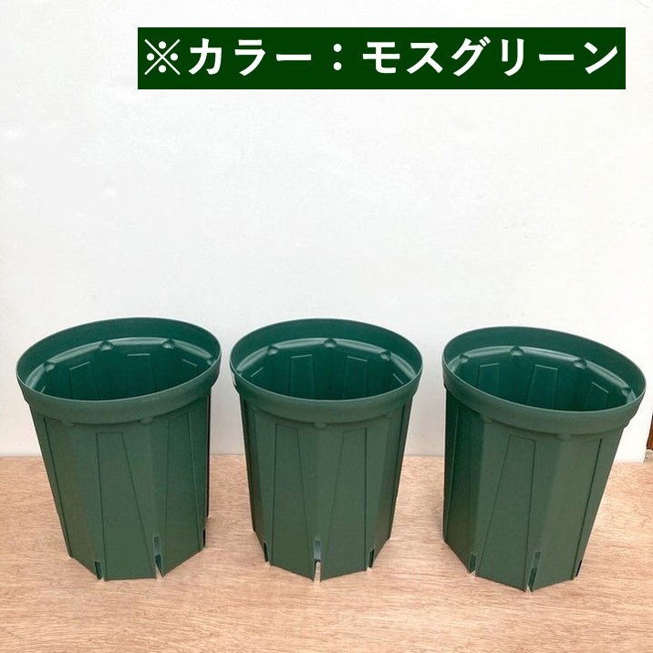 根詰まりしにくい！スリット鉢 6号ロング 3鉢セット（モスグリーン