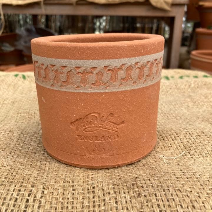 テラコッタ鉢 ウィッチフォード Whichford Hyacinth Flowert Pot 855