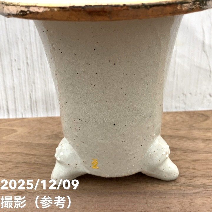 160B 古い 白い 泥めんこ 24点 素焼き おはじき 現品お届け】豊明園 万年青 オモト 帝錦（みかどにしき） 白龍白鉢