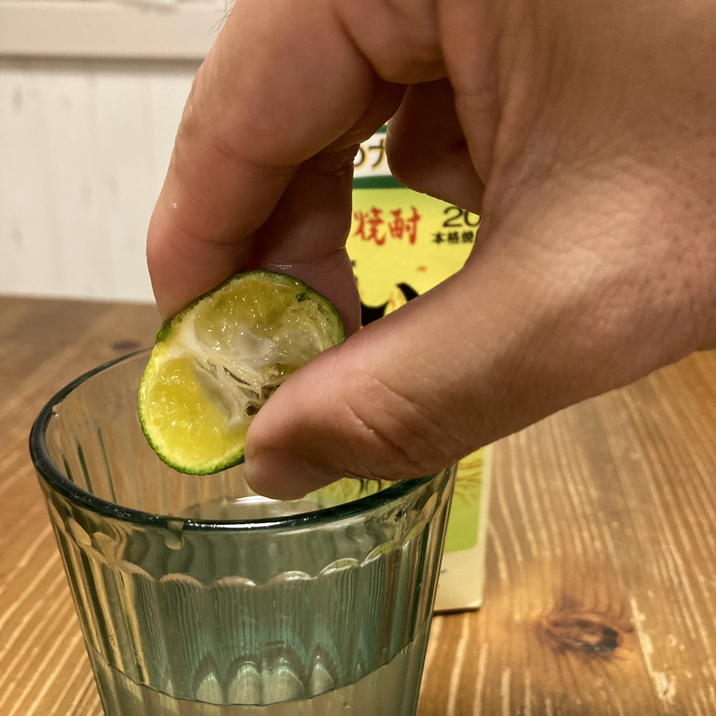 の*ん様 みかんの木（未成熟果実付き）シークワーサー の*ん様 みかんの木（未成熟果実付き）シークワーサー Mikan Mania