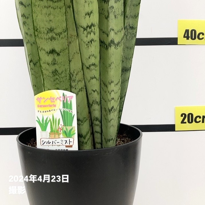 ハンドメイドテーブル　ミストグリーン【送料込み】 ハンドメイドテーブル ミストグリーン【送料込み】 【公式通販】