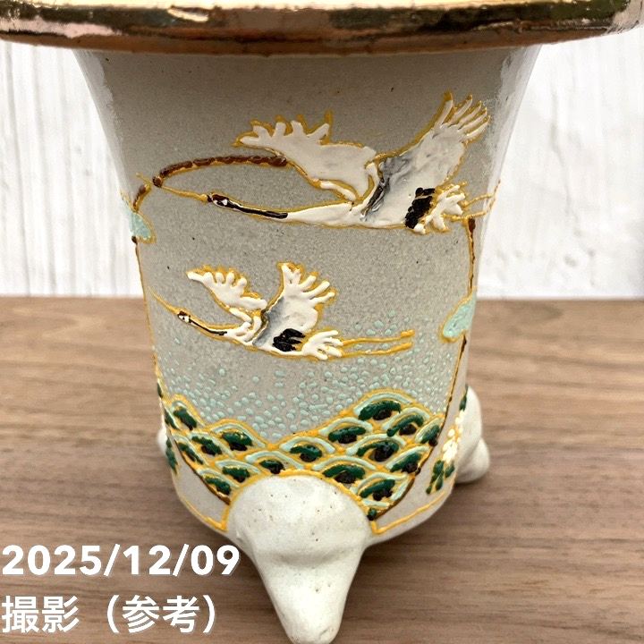 現品お届け】豊明園 万年青 オモト 秋津島（あきつしま） 鶴青海波白鉢