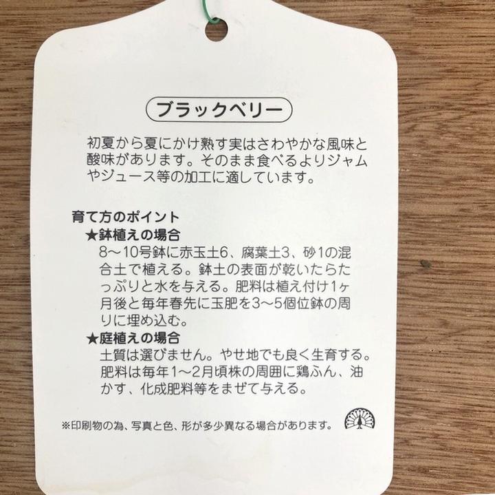 ブラックベリー様 ブラックベリー - Wikipedia