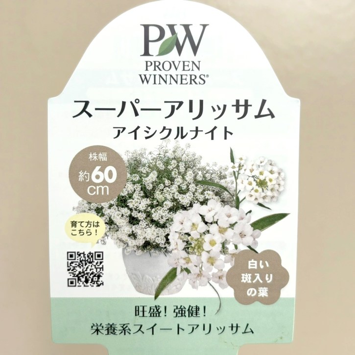 アリッサムページ 寄せ植えに】 スイートアリッサム 『4色ミックス』 3寸POT