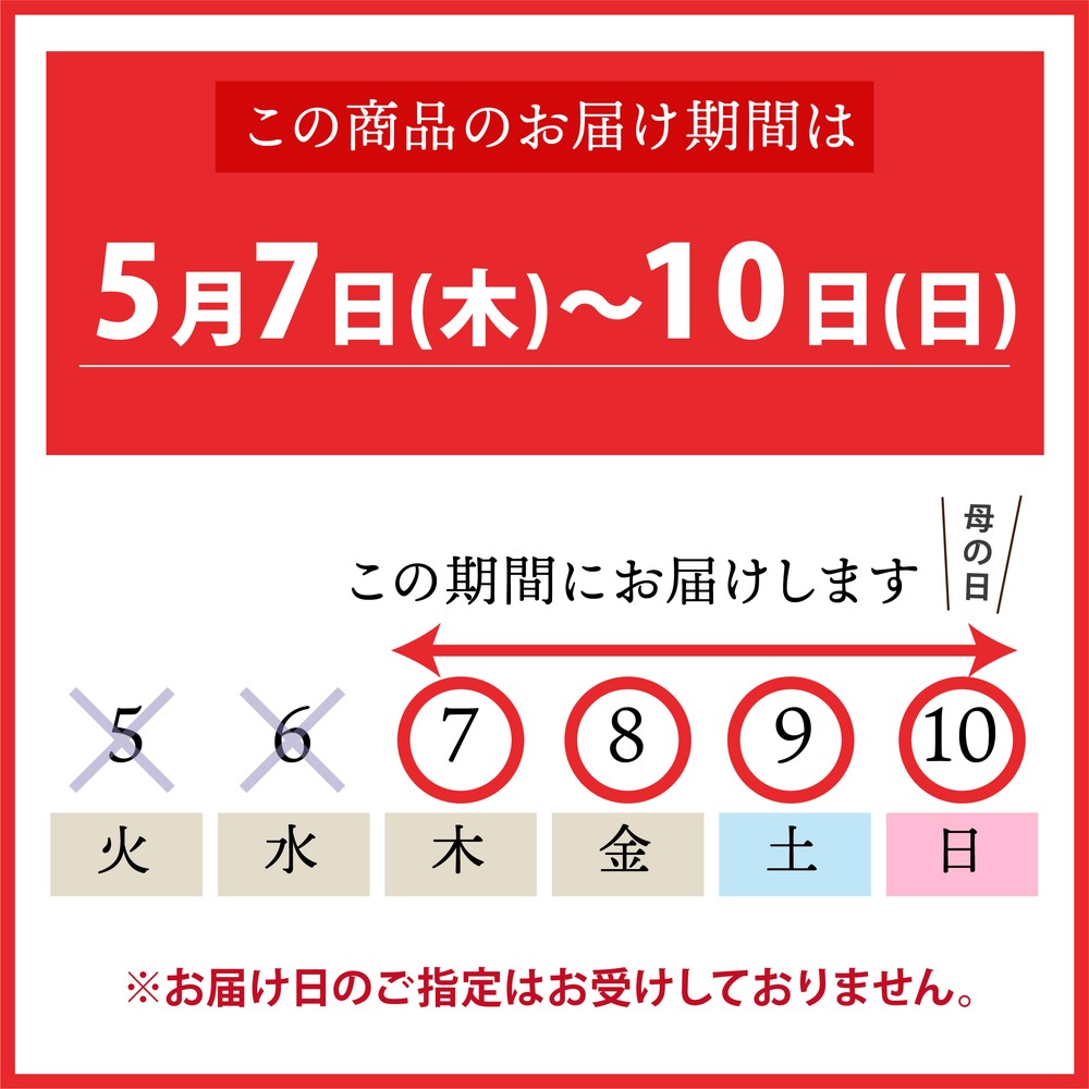 母の日ギフト2026 カーネーション ミルキーリップ 6号｜鉢花10-TU