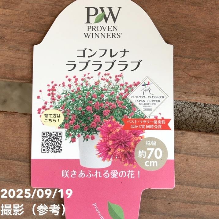 【全2巻セット・美品】 　花材百科 四季花事典①春夏＋②秋冬・周年 楽天市場】掛け軸専門店 掛軸販売 春夏秋冬 四季花鳥 春夏秋冬4