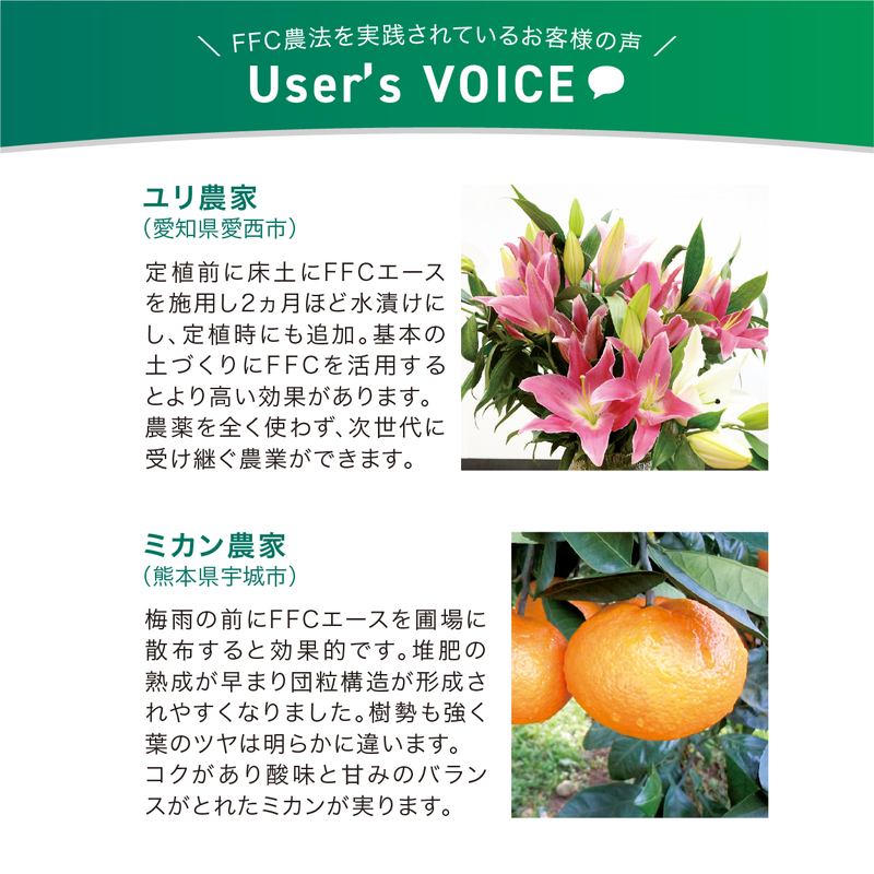 土壌改質活性培土FFCエース(20kg)※沖縄県発送不可|用土11-TU