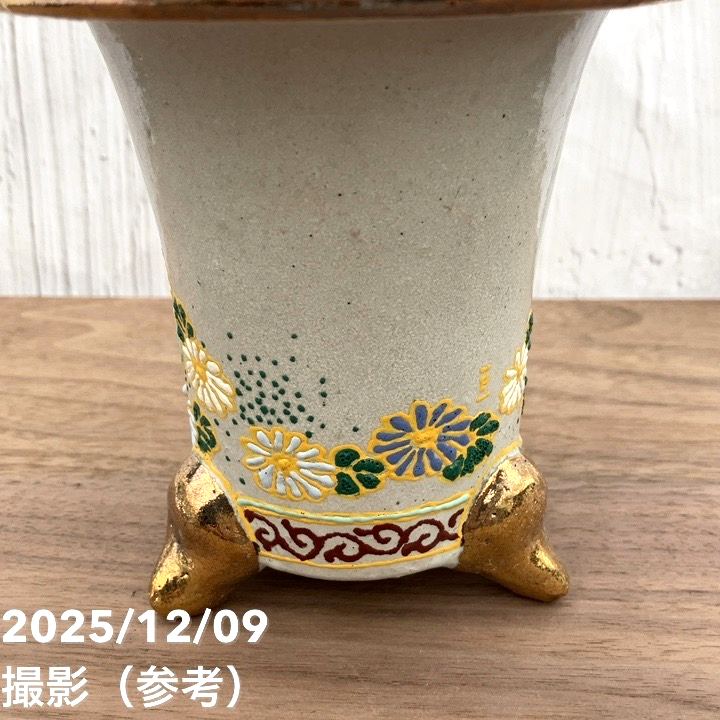 現品お届け】豊明園 万年青 オモト 聖源（せいげん） 花亀甲鉢（O45