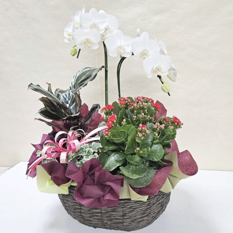 ＊*..暮らしに彩りを添える…爽やかなフラワーバスケット..＊°.お花の贈り物 季節を贈るオリジナルフラワーバスケット（21）｜手作04-PA | ギフト