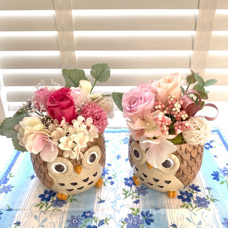 プリザーブドフラワー しあわせふくろう 濃いもも ※お届けに10日程度