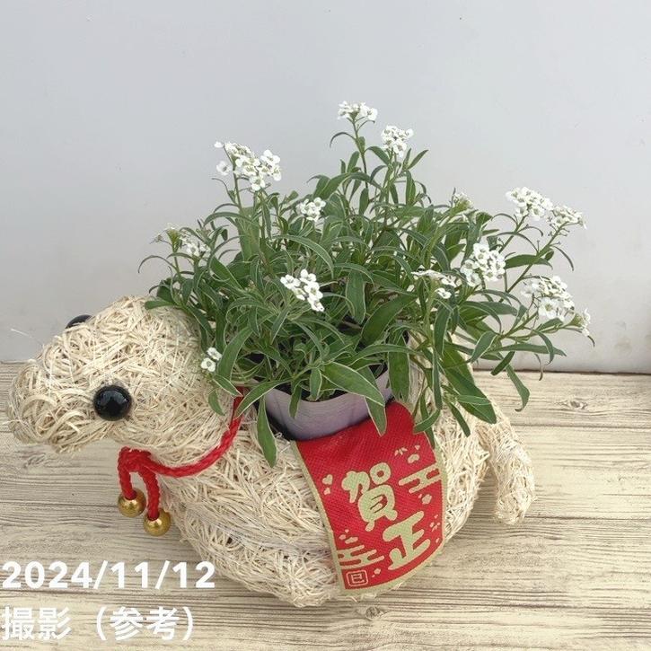 2025年の干支 巳（み・へび）モチーフ鉢カバー｜雑貨08-TU