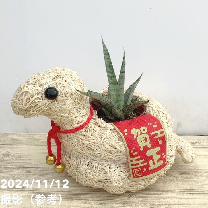 2025年の干支 巳（み・へび）モチーフ鉢カバー｜雑貨08-TU