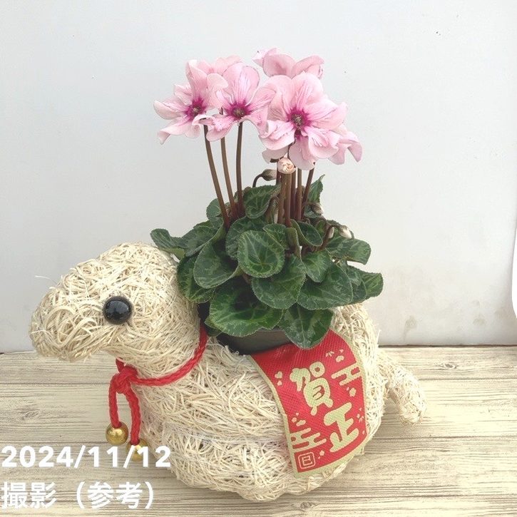 2025年の干支 巳（み・へび）モチーフ鉢カバー｜雑貨08-TU