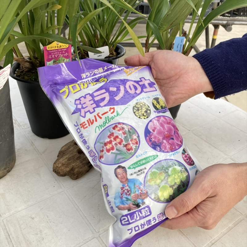 プロが使う 洋ランの土 モルバーク 2l小粒 Pa 用土 肥料 用土 赤塚植物園オンライン 花の音 プロが使う 洋ランの土 モルバーク 2l小粒 Pa 用土 肥料 用土 赤塚植物園オンライン 花の音
