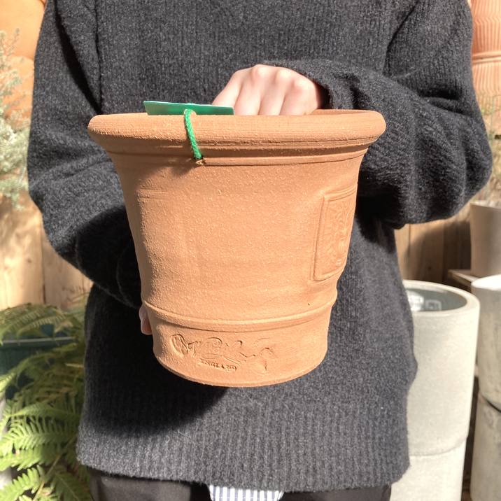 テラコッタ鉢 ウィッチフォード Whichford Marigold Pot 679（代引き