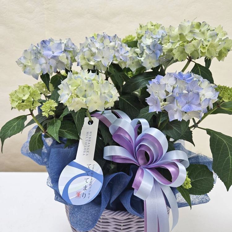 ⑥【処分価格】新品　LED造形　ハスの花　ブルー　インテリア セラミックフラワー48 | Bleu Bleuet（ブルーブルーエ）公式通販
