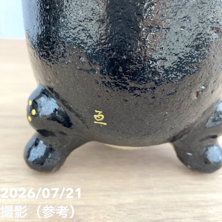 決算P5倍！10%OFF！8/2まで】【現品お届け】豊明園 万年青 オモト 海龍