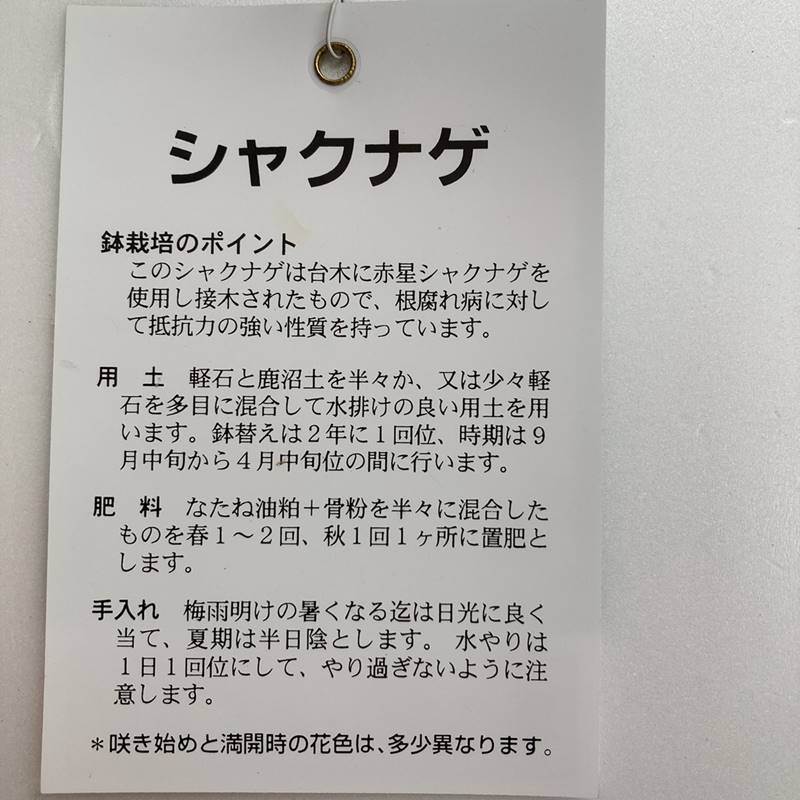 ひめ様お取り置き♡25日まで