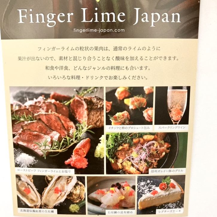 こるふぁーむ フィンガーライム 5号 レッドシャンパン(代引き不可)|柑橘|果樹10-CO