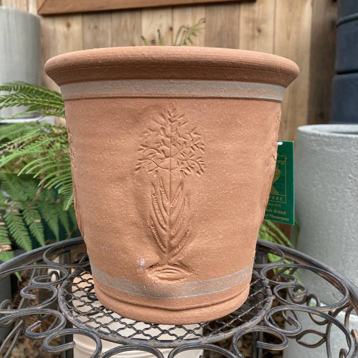 テラコッタ鉢 ウィッチフォード Whichford Meadowgrass Pot 478