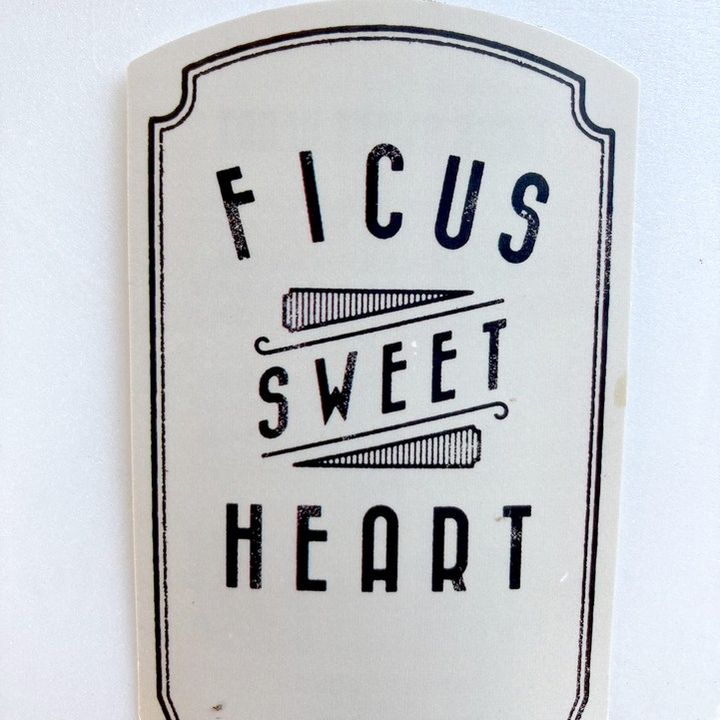 フィカス スウィートハート 6号 PVP|観葉04-PA