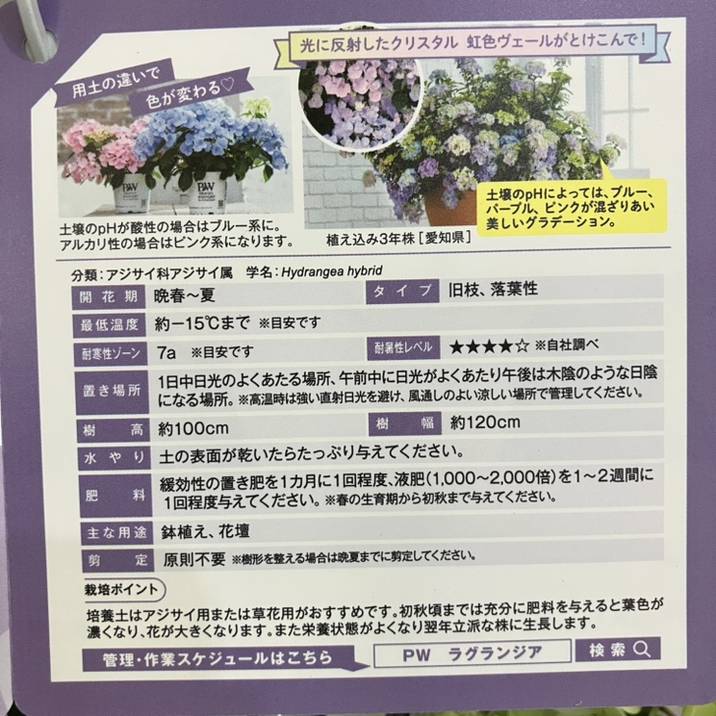 開花中＞PW ラグランジア クリスタルヴェール2 5号｜花木04-PA | 花木